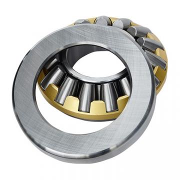 NCF 2913 CV Cylindrical Roller Bearings 65*90*16mm