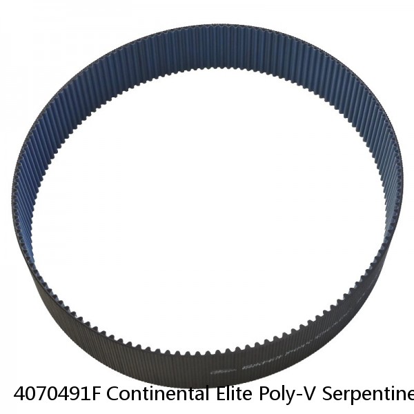 4070491F Continental Elite Poly-V Serpentine Belt Free Shipping Free Returns