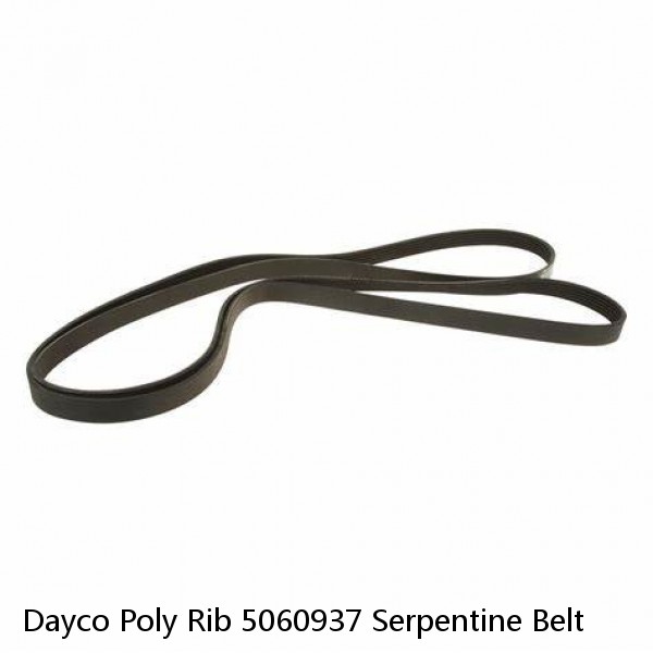Dayco Poly Rib 5060937 Serpentine Belt