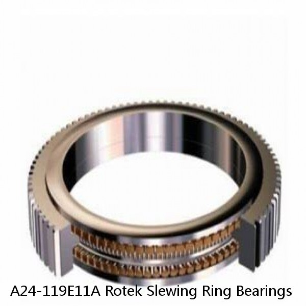 A24-119E11A Rotek Slewing Ring Bearings #1 small image