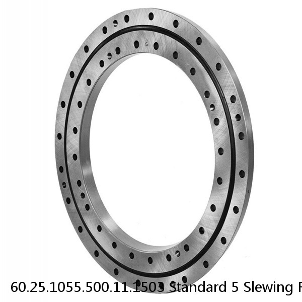 60.25.1055.500.11.1503 Standard 5 Slewing Ring Bearings #1 small image