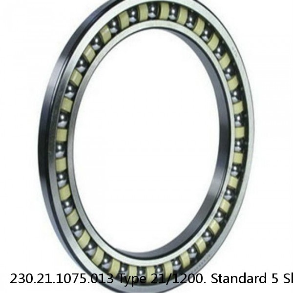 230.21.1075.013 Type 21/1200. Standard 5 Slewing Ring Bearings