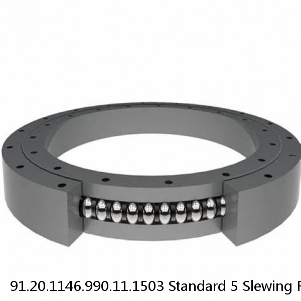 91.20.1146.990.11.1503 Standard 5 Slewing Ring Bearings