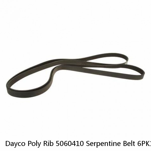 Dayco Poly Rib 5060410 Serpentine Belt 6PK1040 #1 small image