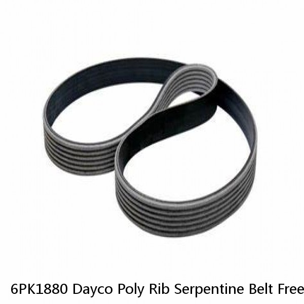 6PK1880 Dayco Poly Rib Serpentine Belt Free Shipping Free Returns 5060740 #1 small image