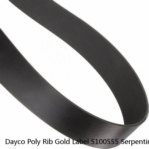 Dayco Poly Rib Gold Label 5100555 Serpentine Belt #1 small image