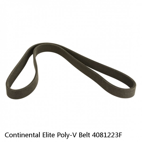 Continental Elite Poly-V Belt 4081223F #1 small image