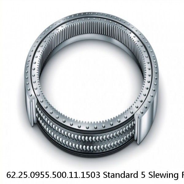 62.25.0955.500.11.1503 Standard 5 Slewing Ring Bearings #1 image