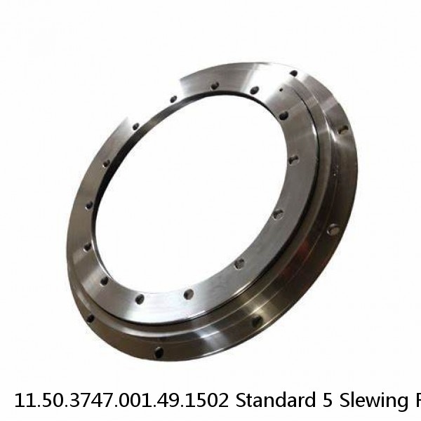 11.50.3747.001.49.1502 Standard 5 Slewing Ring Bearings #1 image