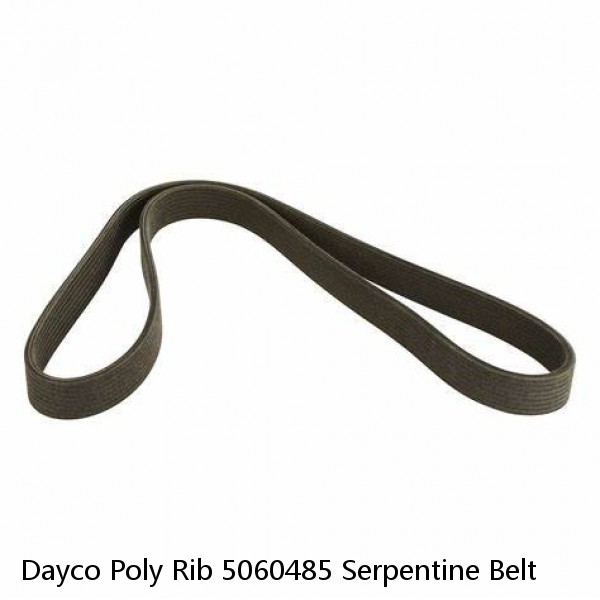 Dayco Poly Rib 5060485 Serpentine Belt #1 image