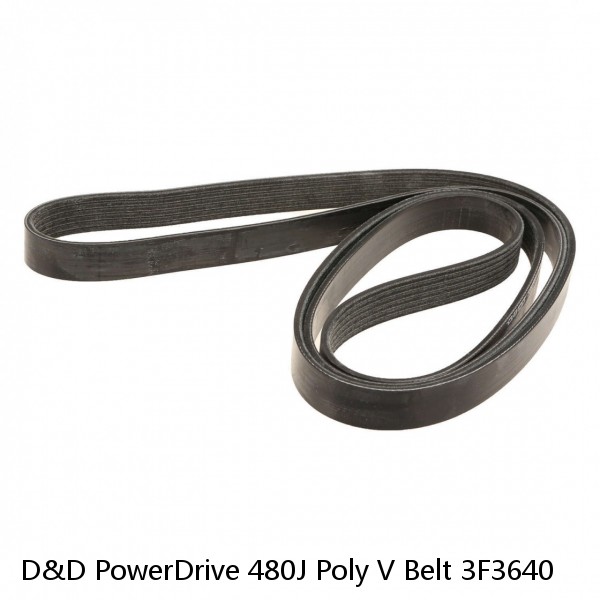 D&D PowerDrive 480J Poly V Belt 3F3640 #1 image