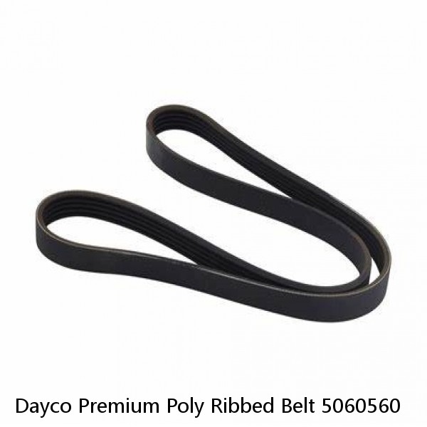 Dayco Premium Poly Ribbed Belt 5060560  #1 image