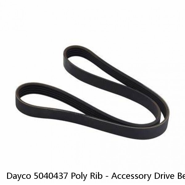 Dayco 5040437 Poly Rib - Accessory Drive Belt #1 image